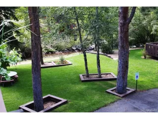 Photo #2: 5719336 Listing