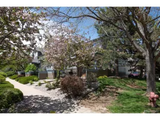 Photo #1: 5862503 Listing