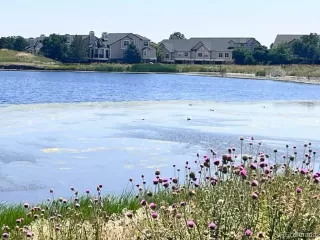 Photo #2: 6018204 Listing