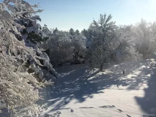 Photo #3: 6029027 Listing