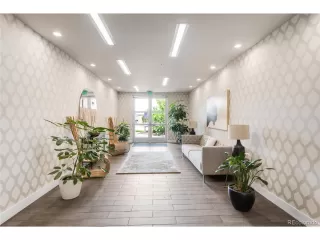 Photo #3: 6206836 Listing