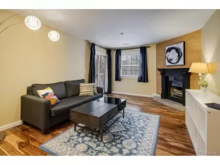 Photo #4: 7003542 Listing