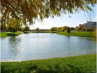 Photo #3: 7163202 Listing