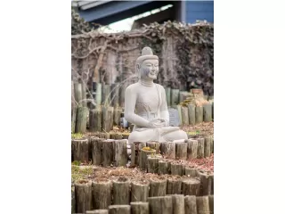 Photo #2: 7306248 Listing