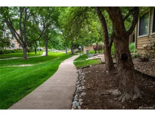 Photo #1: 7810055 Listing 