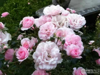 Photo #4: 884870 Listing