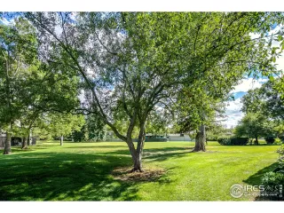 Photo #5: 899367 Listing