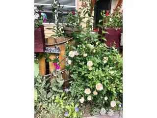 Photo #2: 901498 Listing