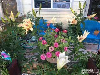 Photo #3: 901498 Listing