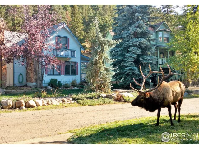 MLS: 901841 Condo For Sale