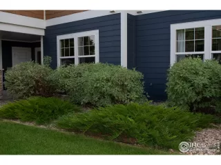 Photo #2: 914427 Listing