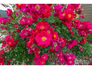 Photo #4: 916614 Listing 