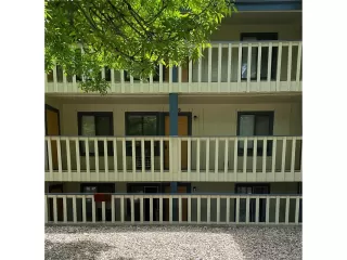 Photo #5: 9171509 Listing