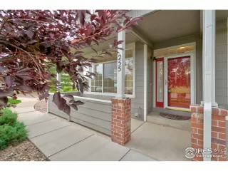 Photo #3: 919851 Listing 