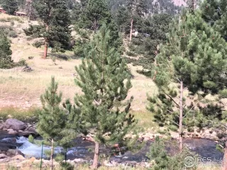 Photo #1: 921370 Listing