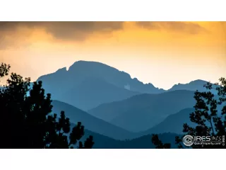 Photo #1: 923090 Listing