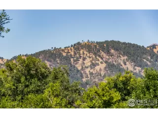 Photo #3: 923457 Listing