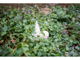 Photo #3: 923922 Listing 