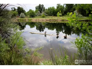 Photo #1: 924537 Listing