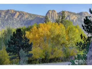 Photo #4: 925984 Listing