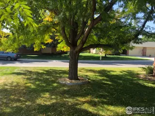 Photo #2: 926093 Listing 