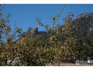 Photo #1: 926330 Listing