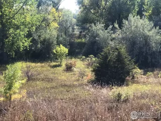 Photo #4: 928375 Listing 