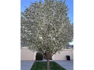 Photo #2: 9298468 Listing