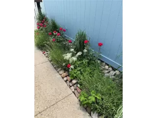 Photo #3: 9298468 Listing