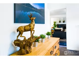 Photo #1: 930159 Listing