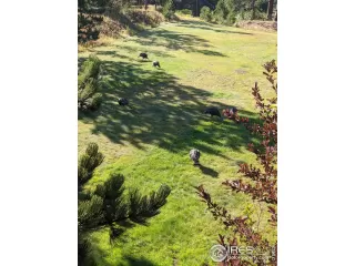 Photo #5: 931168 Listing