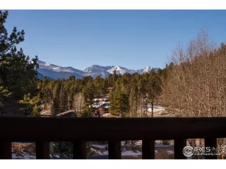 Photo #1: 931355 Listing 