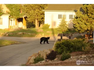 Photo #6: 931573 Listing