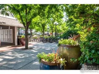 Photo #5: 934748 Listing 