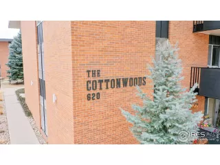 Photo #1: 935631 Listing