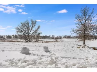 Photo #1: 935705 Listing