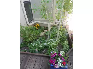 Photo #1: 937143 Listing