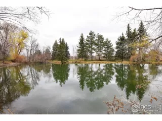 Photo #4: 937809 Listing