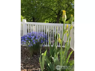 Photo #3: 937857 Listing 