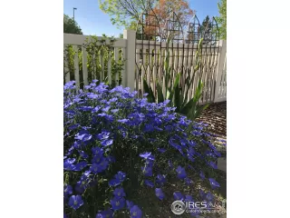 Photo #4: 937857 Listing 