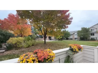 Photo #1: 9417703 Listing 