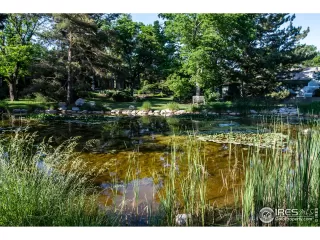 Photo #4: 943185 Listing 