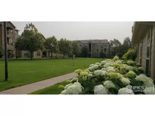 Photo #1: 946113 Listing