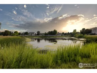 Photo #1: 947965 Listing 