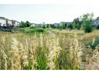 Photo #3: 949116 Listing