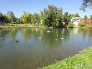 Photo #2: 952551 Listing