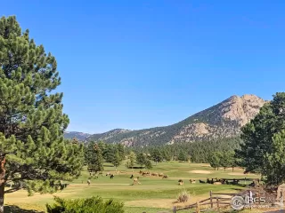 Photo #1: 953419 Listing