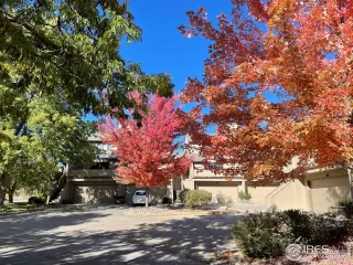 Photo #1: 953502 Listing