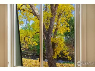 Photo #5: 953664 Listing