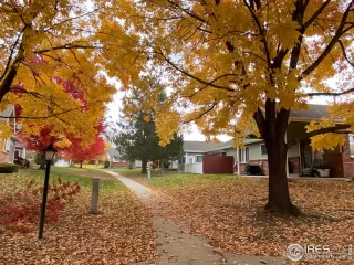 Photo #2: 954198 Listing